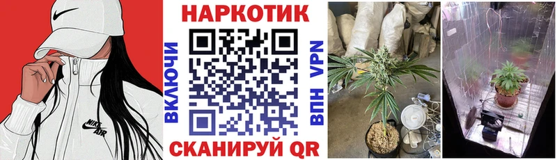 Купить закладку СК  Конопля  Меф  ГАШ  Михайлов